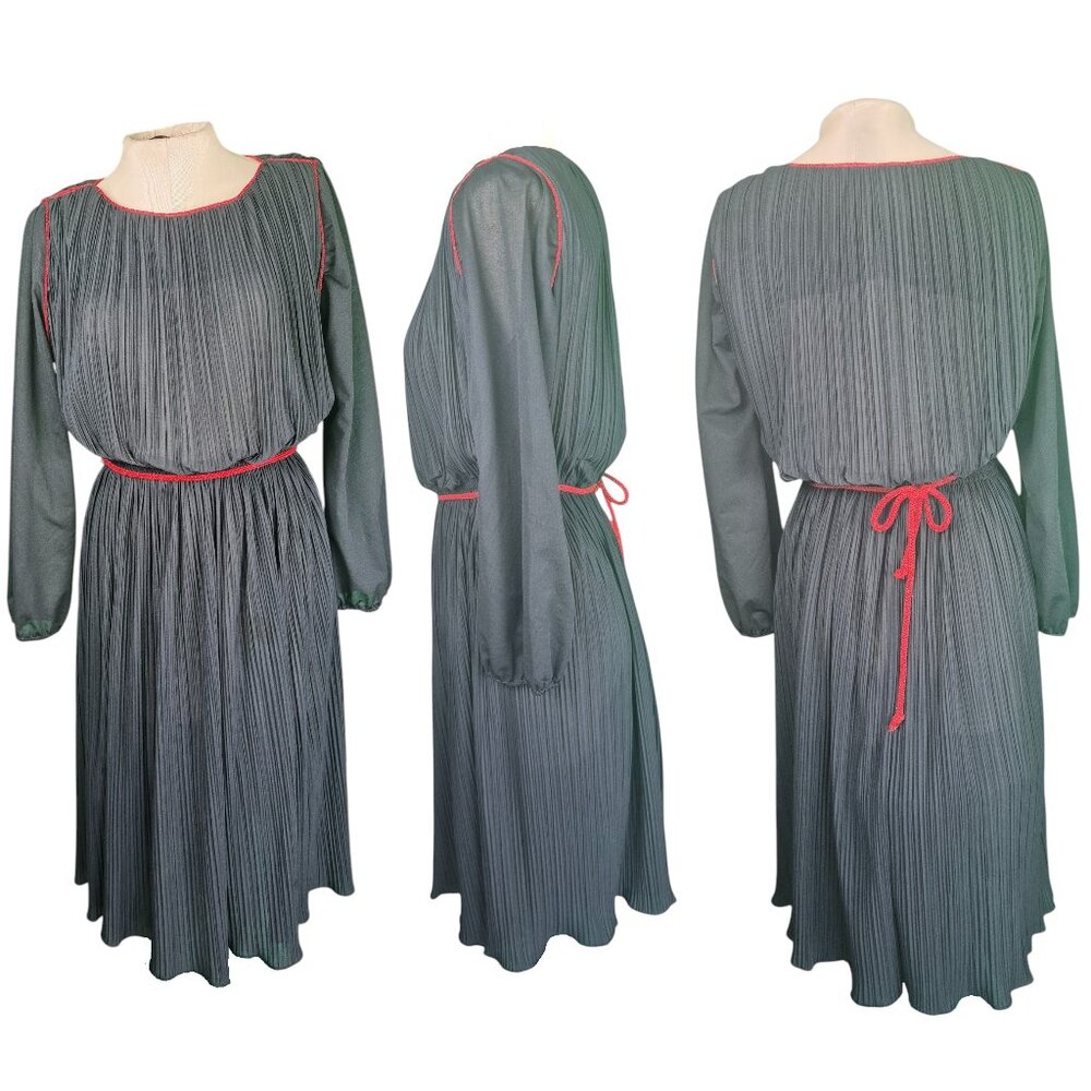 Vintage 1970s Black Sheer Pleated Dress with Glittery Red details